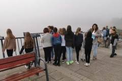 IMG-20210917-WA0017